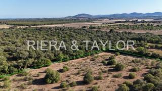 Rural plot in Sant Llorenç des Cardassar. Terreno edificable en san llorenã des cardassar
