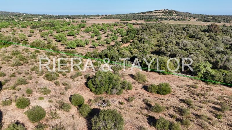 Foto 4ae0aea4-36e8-40b9-a7cf-885f0b610e77. Finca rústica terreno edificable en son negre con proyecto aprobado en Sant Llorenç des Cardassar