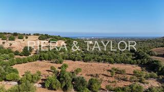Rural plot in Sant Llorenç des Cardassar. Terreno con licencia en sant llorenã des cardassar con vistas al
