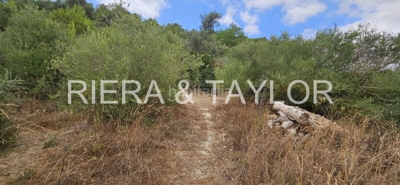 Foto 464a6fe5-f720-47ff-ada0-92e1e603f95d. Mas dans Felanitx poble Felanitx