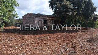 Bauernhof in Petra. Se vende finca en petra