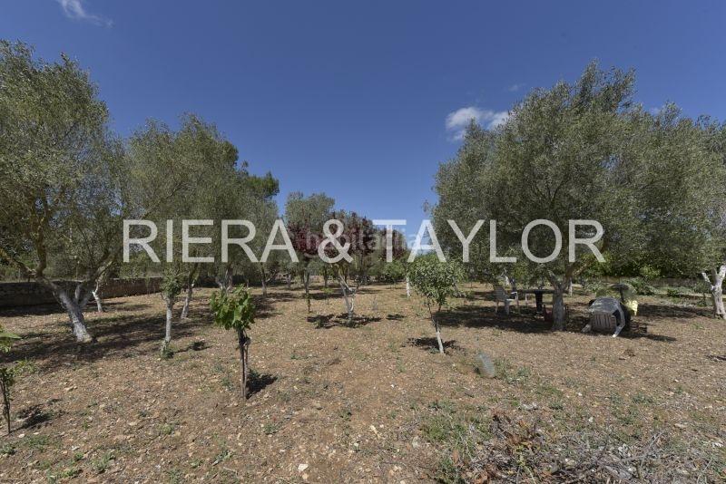 Foto 15058a53-fefe-4b57-9913-f2090c05ea02. Masia a Sant Llorenç des Cardassar