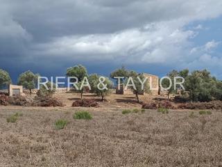 Masia a Manacor Centre. Finca en manacor
