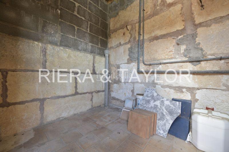 Foto 9e9d8277-c117-4af4-bc5e-c0c603a7ceae. Pis a Porto Cristo Manacor