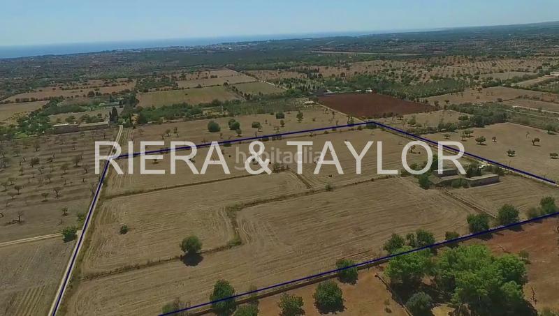 Foto 1cf6a8ea-98dc-4f9d-9e31-21ec82c7108c. Bauernhof in Porto Cristo Manacor