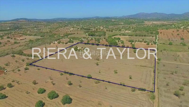 Foto 41c7a2e6-f17e-4f56-afdf-1f9fd8a0e5f8. Bauernhof in Porto Cristo Manacor