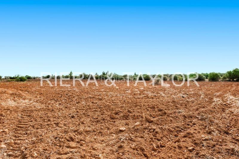 Foto cd000574-2069-45fe-9aa7-6e2cb711f384. Bauernhof in Porto Cristo Manacor