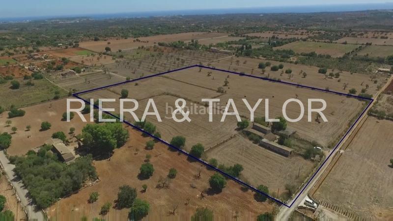 Foto f613e91a-8199-46f0-aa21-6cfc32aabf02. Bauernhof in Porto Cristo Manacor