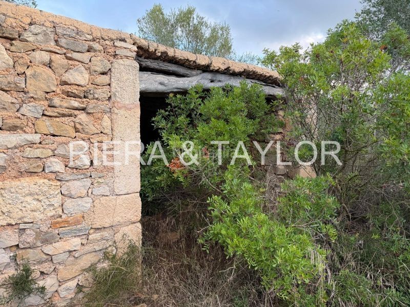 Foto 9ec1f9fd-7ee0-4d58-9831-6b875c5fb39b. Finca rústica terreno edificable en son carrio en Sant Llorenç des Cardassar
