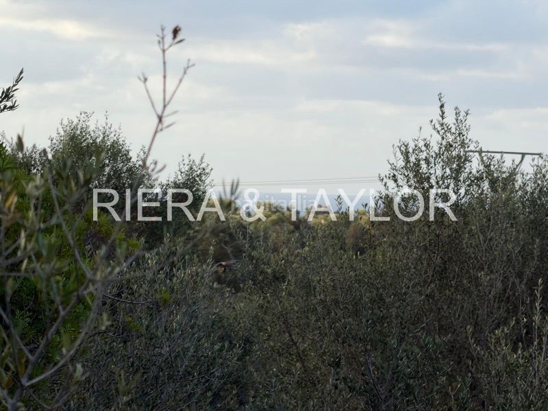 Foto ffee3f6a-f7b2-44fa-9ee9-c91911bac967. Finca rústica terreno edificable en son carrio en Sant Llorenç des Cardassar