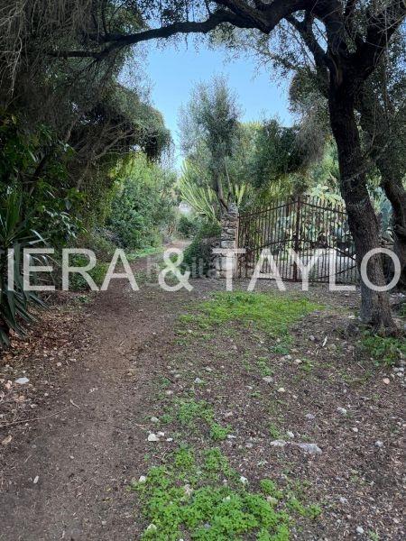 Foto b2575bf1-9755-4f91-a614-ae02e9df7929. Rural plot in Sant Llorenç des Cardassar