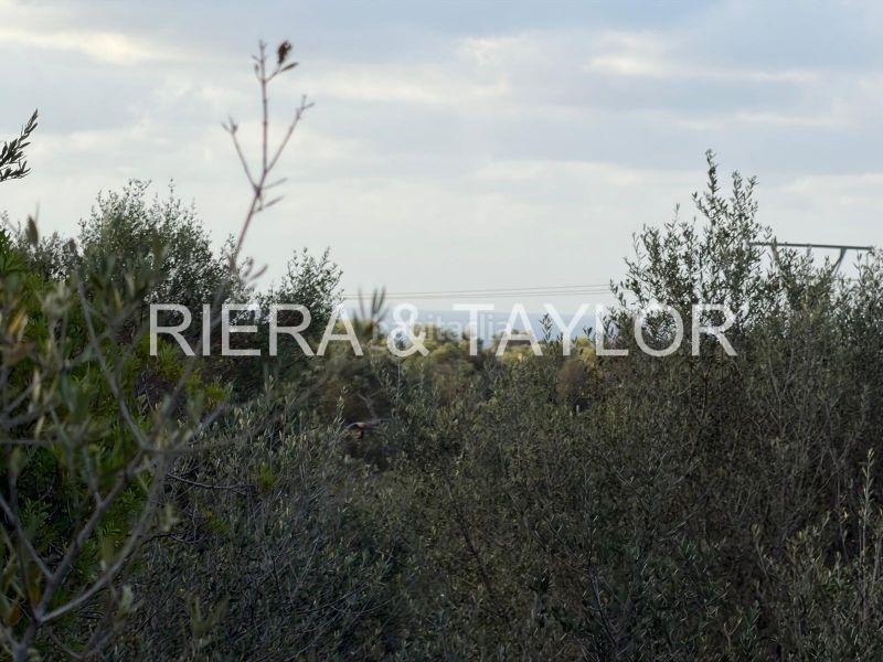 Foto ffee3f6a-f7b2-44fa-9ee9-c91911bac967. Rural plot in Sant Llorenç des Cardassar