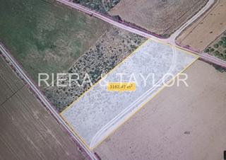 Propriété à Manacor Centre. Terreno rãstico