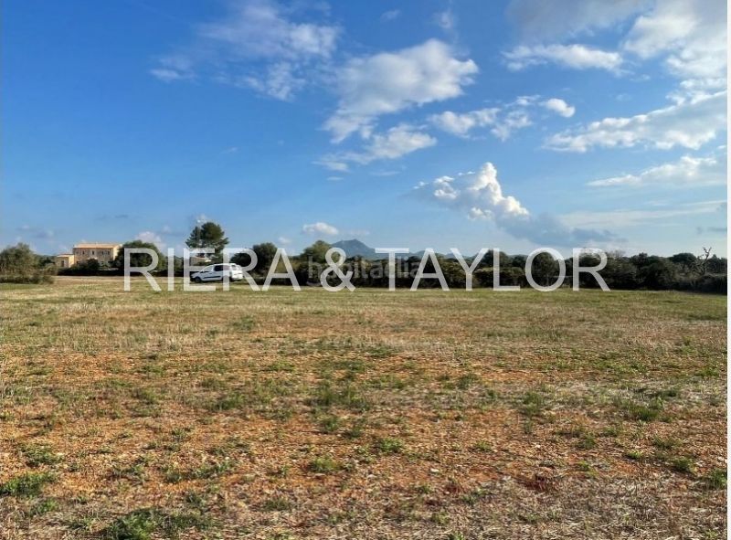Foto 1bd8c351-6e91-4da2-b5cb-91588a158b1f. Finca rústica a Felanitx poble Felanitx