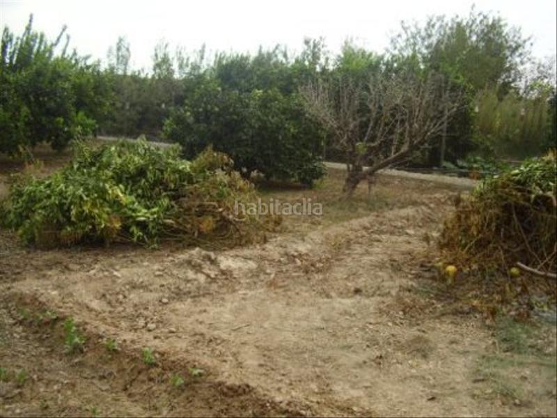 Foto 2531303a-ede9-4442-8803-5be4c6d9706f. Rural plot in Ribera de Molina - Torrealta Molina de Segura