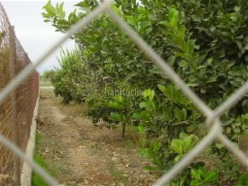 Foto 43b98af8-5010-4564-a4a9-27c6faf1f903. Rural plot in Ribera de Molina - Torrealta Molina de Segura