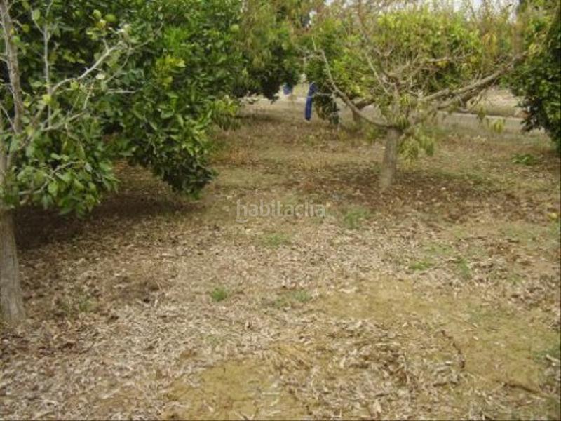 Foto 6f2fad64-c5c4-44b9-995e-ee43d5aedfbb. Rural plot in Ribera de Molina - Torrealta Molina de Segura