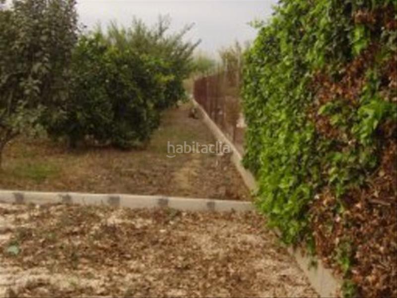 Foto e0a2c28b-9c4f-4f8b-bd3c-1b7bcd945de7. Rural plot in Ribera de Molina - Torrealta Molina de Segura