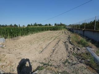 Finca rústica a Torres de Cotillas (Las). Terreno no urbano en alguazas zona el paraje de alquazas, 2040 m