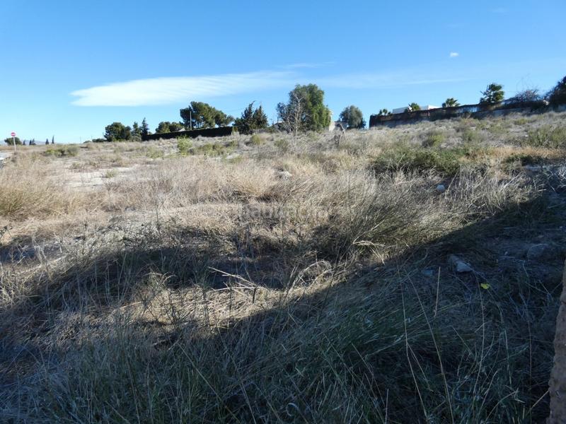 Foto 673e6b66-bff1-4177-8534-44e229e8ea5f. Finca rústica a La Alcayna Molina de Segura