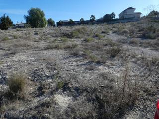 Finca rústica a La Alcayna. Terreno no urbano en molina de segura zona el romeral, 2000 m.