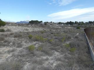 Finca rústica a Los Valientes. Terreno no urbano en molina de segura zona los valientes, 2351 m