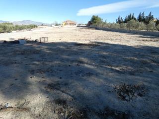 Finca rústica a La Alcayna. Terreno no urbano en molina de segura zona el romeral, 2000 m