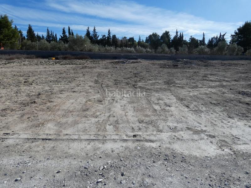 Foto 90695adc-d512-402d-96a0-24e0339fe56c. Finca rústica terreno no urbano zona el romeral, 2000 m en Molina de Segura