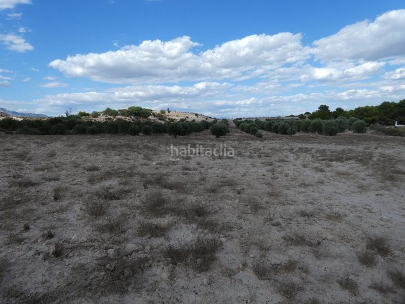 Foto 102840b2-4a36-4751-8ba7-52dcb03590b1. Finca rústica a Los Valientes Molina de Segura