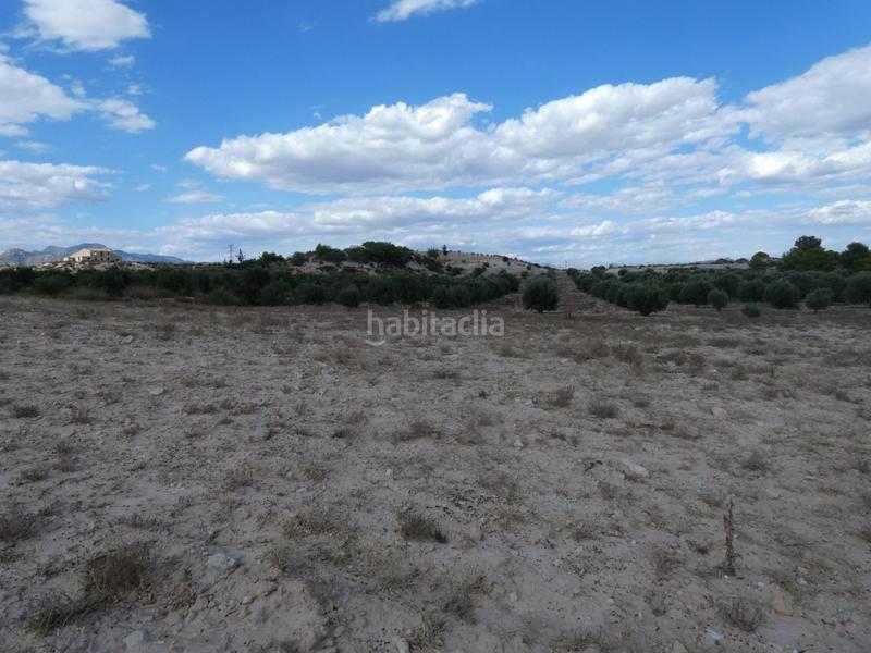 Foto 608ea4aa-3a1f-42b8-a94b-896985c9f5d1. Finca rústica a Los Valientes Molina de Segura