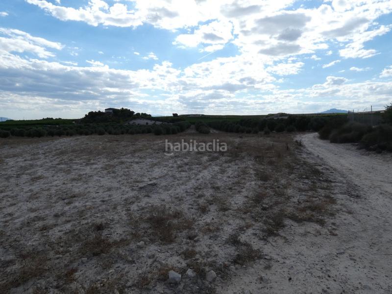 Foto 84026f96-7fd7-4518-8273-3a229191128a. Finca rústica a Los Valientes Molina de Segura