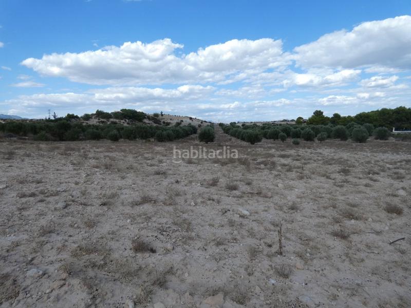 Foto 8b0af8b8-1da6-4b40-b9a9-4c113fb39ac4. Finca rústica a Los Valientes Molina de Segura