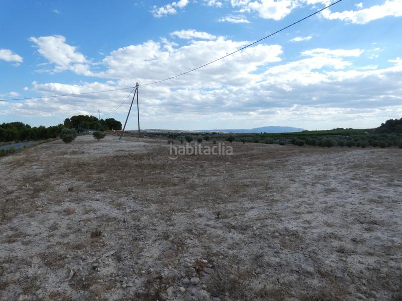 Foto b45bebbf-6821-4440-a7fe-b9161d7a0844. Finca rústica a Los Valientes Molina de Segura