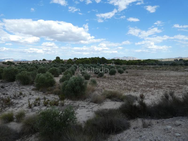 Foto b6c80c21-17ae-4c17-96d3-fea32145af31. Finca rústica a Los Valientes Molina de Segura