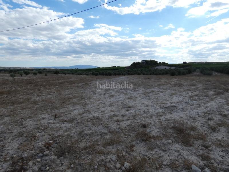 Foto ecb8f6ce-2535-4664-a4a6-2df67410639d. Finca rústica a Los Valientes Molina de Segura