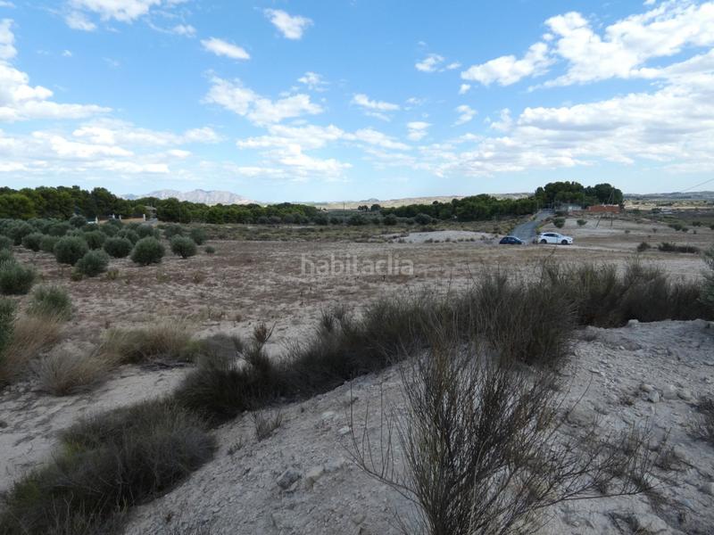 Foto fdc0c0ff-7840-461a-9c6f-c4cc5189578f. Finca rústica a Los Valientes Molina de Segura