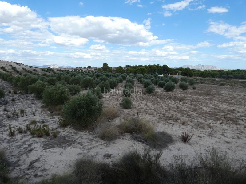 Foto ffa78faf-cfcb-445c-8eeb-32a152564f85. Finca rústica a Los Valientes Molina de Segura