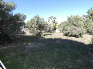 Residential Plot in Los Conejos. Terreno urbano en molina de segura zona los conejos, 1000 m