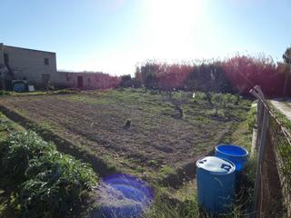 Finca rústica a Ribera de Molina - Torrealta. Terreno rustico en molina de segura zona huerta, 1118 m