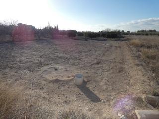 Finca rústica en Alguazas. Terreno rustico en molina de segura zona huerta, torre de montij