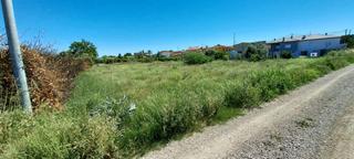 Finca rústica en Alguazas. Terreno rustico en alguazas zona huerta, 1454 m