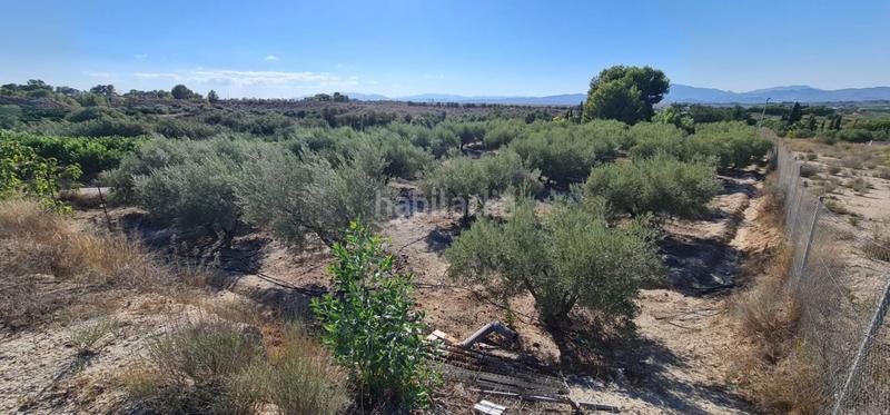 Foto b284b21c-a765-4665-8128-10367517d28e. Fondo rustico in Centro Molina de Segura