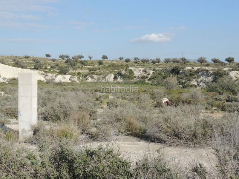 Foto 1f85d085-5d36-4ae3-85b0-39610b4bb44a. Finca rústica a Los Valientes Molina de Segura