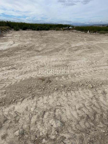 Foto 23c20cc4-f335-473f-943b-1ae3d6467546. Finca rústica a La Alcayna Molina de Segura