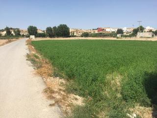 Propriété à Ribera de Molina - Torrealta. Terreno no urbano en molina de segura zona ribera de molina, 111