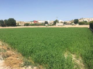 Finca rústica a Ribera de Molina - Torrealta