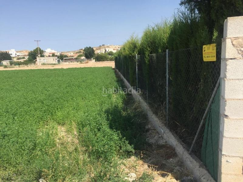 Foto 1bde3c68-58a2-4191-a31a-299550987400. Finca rústica a Ribera de Molina - Torrealta Molina de Segura