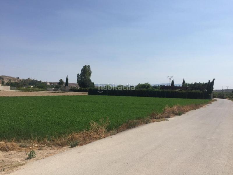 Foto 536f1166-4b35-4c67-a7cb-bc78a6bd5cd0. Finca rústica a Ribera de Molina - Torrealta Molina de Segura