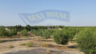 Wohngrundstück in Torres de Cotillas (Las). Se venden parcelas de 10.000m2 en las torres de cotillas