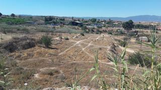 Landgut in Torres de Cotillas (Las). Terreno no urbano agrario de regadio en las torres de cotillas